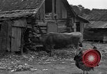 Standbild Afroamerikanische Bauern United States USA, 1931, aus Sekunde 18 historischem Filmmaterial Videoclip 65675071227
