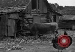 Standbild Afroamerikanische Bauern United States USA, 1931, aus Sekunde 21 historischem Filmmaterial Videoclip 65675071227