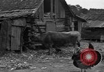 Standbild Afroamerikanische Bauern United States USA, 1931, aus Sekunde 22 historischem Filmmaterial Videoclip 65675071227