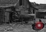 Standbild Afroamerikanische Bauern United States USA, 1931, aus Sekunde 23 historischem Filmmaterial Videoclip 65675071227