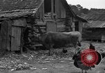 Standbild Afroamerikanische Bauern United States USA, 1931, aus Sekunde 24 historischem Filmmaterial Videoclip 65675071227