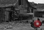 Standbild Afroamerikanische Bauern United States USA, 1931, aus Sekunde 25 historischem Filmmaterial Videoclip 65675071227