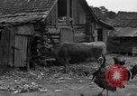 Standbild Afroamerikanische Bauern United States USA, 1931, aus Sekunde 26 historischem Filmmaterial Videoclip 65675071227