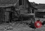 Standbild Afroamerikanische Bauern United States USA, 1931, aus Sekunde 27 historischem Filmmaterial Videoclip 65675071227