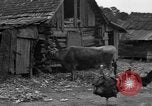 Standbild Afroamerikanische Bauern United States USA, 1931, aus Sekunde 28 historischem Filmmaterial Videoclip 65675071227