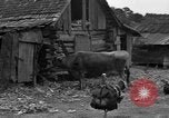Standbild Afroamerikanische Bauern United States USA, 1931, aus Sekunde 29 historischem Filmmaterial Videoclip 65675071227