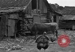 Standbild Afroamerikanische Bauern United States USA, 1931, aus Sekunde 30 historischem Filmmaterial Videoclip 65675071227
