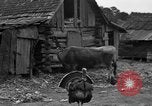 Standbild Afroamerikanische Bauern United States USA, 1931, aus Sekunde 31 historischem Filmmaterial Videoclip 65675071227