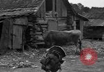 Standbild Afroamerikanische Bauern United States USA, 1931, aus Sekunde 33 historischem Filmmaterial Videoclip 65675071227