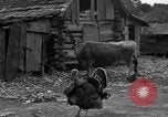 Standbild Afroamerikanische Bauern United States USA, 1931, aus Sekunde 34 historischem Filmmaterial Videoclip 65675071227