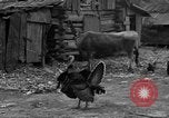 Standbild Afroamerikanische Bauern United States USA, 1931, aus Sekunde 36 historischem Filmmaterial Videoclip 65675071227