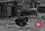 Standbild Afroamerikanische Bauern United States USA, 1931, aus Sekunde 37 historischem Filmmaterial Videoclip 65675071227