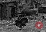 Standbild Afroamerikanische Bauern United States USA, 1931, aus Sekunde 38 historischem Filmmaterial Videoclip 65675071227