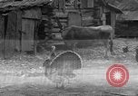 Standbild Afroamerikanische Bauern United States USA, 1931, aus Sekunde 39 historischem Filmmaterial Videoclip 65675071227