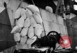 Image of food stuffs Russia, 1918, second 29 stock footage video 65675071229