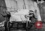 Image of food stuffs Russia, 1918, second 56 stock footage video 65675071229