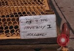 Immagine di Contrassegnare 84 bombe Laser-Guided Della Thailandia, 1969, secondo 11 filmato di repertorio 65675071235