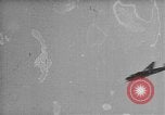 Standbild japanische Flugzeuge South China Sea, 1941, aus Sekunde 35 historischem Filmmaterial Videoclip 65675071242