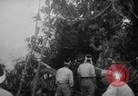 Image of Japanese troops Singapore, 1942, second 20 stock footage video 65675071243