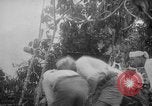 Image of Japanese troops Singapore, 1942, second 22 stock footage video 65675071243