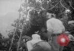 Image of Japanese troops Singapore, 1942, second 23 stock footage video 65675071243