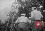 Image of Japanese troops Singapore, 1942, second 24 stock footage video 65675071243