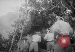 Image of Japanese troops Singapore, 1942, second 25 stock footage video 65675071243