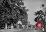 Image of British surrender Singapore, 1942, second 8 stock footage video 65675071244