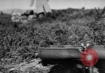 Standbild pre-Invasion Manöver Vereinigtes Königreich, 1944, aus Sekunde 49 historischem Filmmaterial Videoclip 65675071245