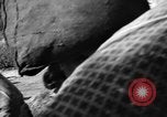 Image of evacuation Italy, 1944, second 19 stock footage video 65675071246