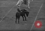 Image of Rodeo Los Angeles California USA, 1944, second 22 stock footage video 65675071251