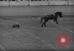 Image of Rodeo Los Angeles California USA, 1944, second 28 stock footage video 65675071251