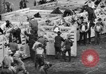Image of Rodeo Los Angeles California USA, 1944, second 32 stock footage video 65675071251