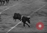Image of Rodeo Los Angeles California USA, 1944, second 36 stock footage video 65675071251