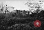 Image of Allied troops Anzio Italy, 1944, second 25 stock footage video 65675071252