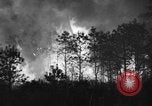 Image of forest fire New Jersey United States USA, 1944, second 5 stock footage video 65675071254