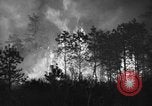 Image of forest fire New Jersey United States USA, 1944, second 6 stock footage video 65675071254
