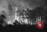 Image of forest fire New Jersey United States USA, 1944, second 7 stock footage video 65675071254