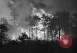 Image of forest fire New Jersey United States USA, 1944, second 8 stock footage video 65675071254