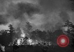 Image of forest fire New Jersey United States USA, 1944, second 9 stock footage video 65675071254