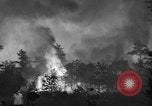 Image of forest fire New Jersey United States USA, 1944, second 10 stock footage video 65675071254