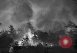 Image of forest fire New Jersey United States USA, 1944, second 11 stock footage video 65675071254