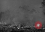 Image of forest fire New Jersey United States USA, 1944, second 12 stock footage video 65675071254
