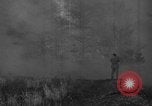 Image of forest fire New Jersey United States USA, 1944, second 17 stock footage video 65675071254