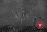Image of forest fire New Jersey United States USA, 1944, second 18 stock footage video 65675071254