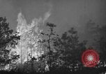Image of forest fire New Jersey United States USA, 1944, second 22 stock footage video 65675071254
