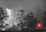 Image of forest fire New Jersey United States USA, 1944, second 23 stock footage video 65675071254