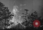 Image of forest fire New Jersey United States USA, 1944, second 24 stock footage video 65675071254