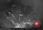 Image of forest fire New Jersey United States USA, 1944, second 25 stock footage video 65675071254