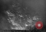 Image of forest fire New Jersey United States USA, 1944, second 26 stock footage video 65675071254